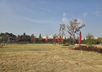 “준공만 해놓고 방치”…인천 계양 파크골프장, 1500 동호인 ‘분통’