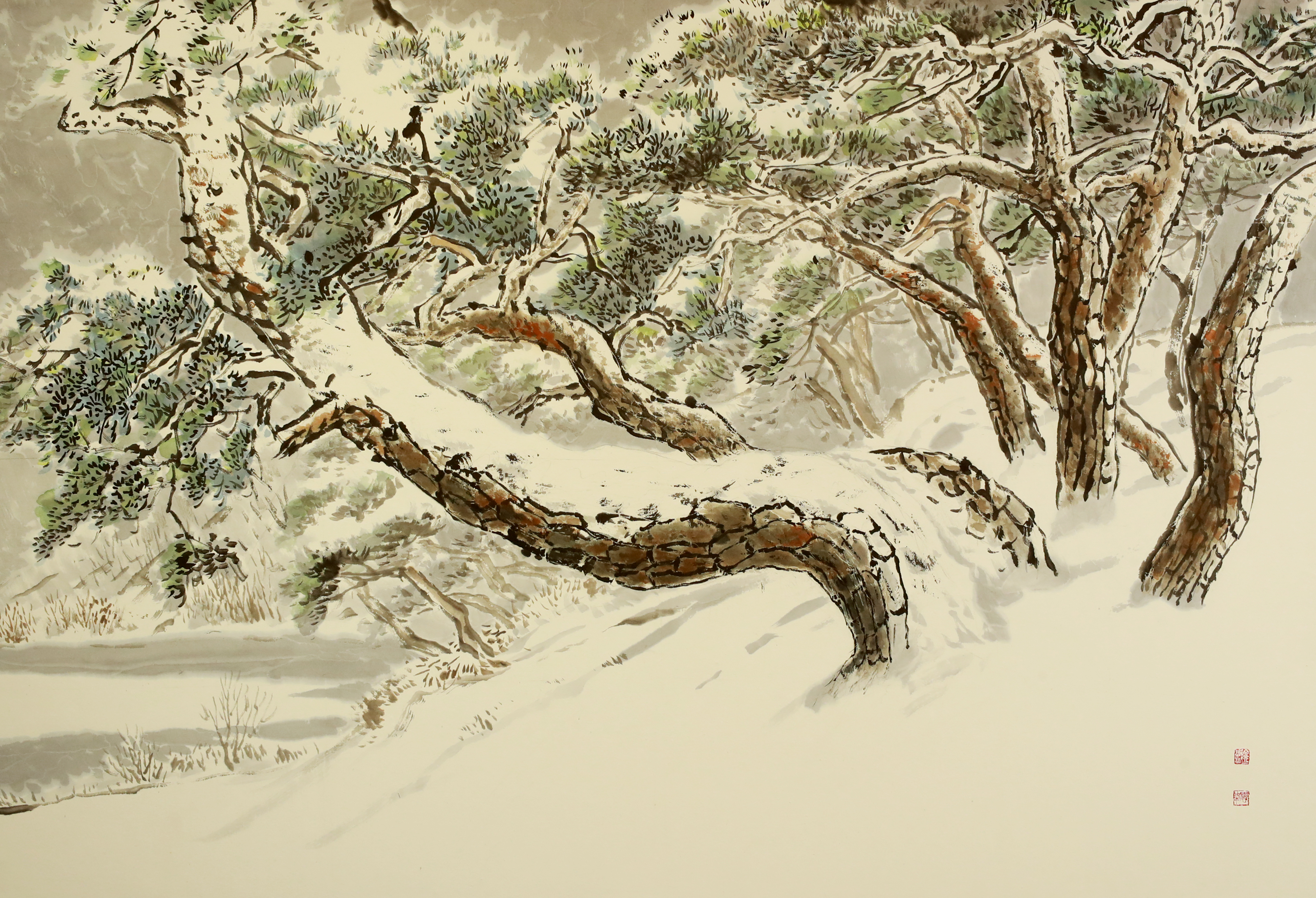 눈꽃 품은 소나무 숲